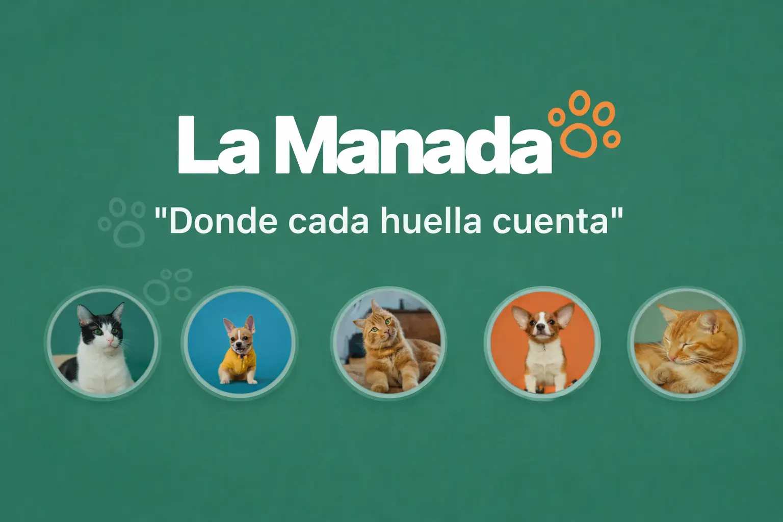 Previsualización de La Manada - PWA para Mascotas